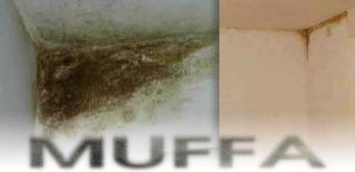 Muffa, umidità e condensa tutto il mondo del cartongesso